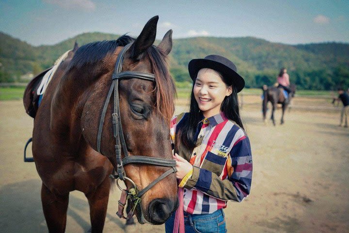 Horse Lesson+Riding+Doikham holy temple.Chiangmai image