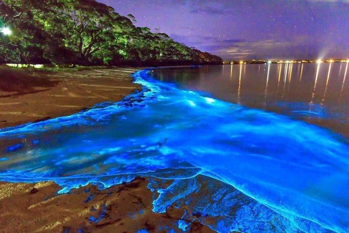 Dunn’s River Falls and Luminous Lagoon Private Tour  image