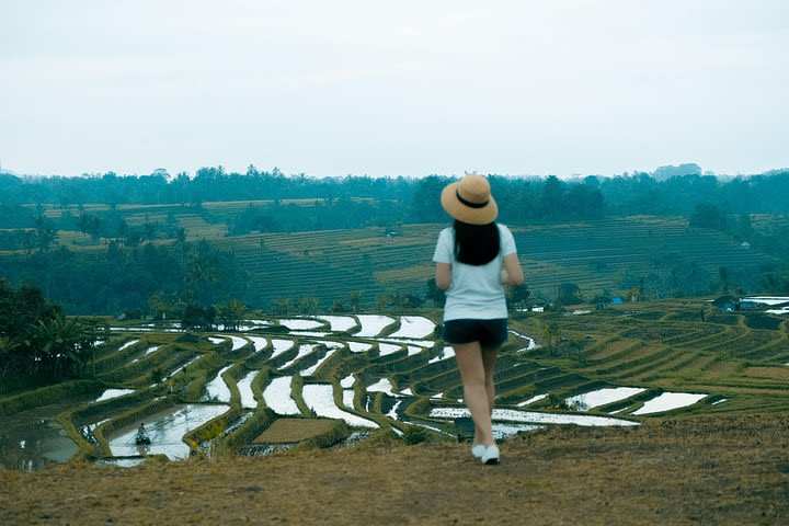 Fascinating UNESCO Site Tour in Bali image