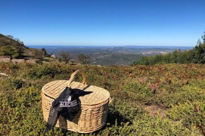 Private Typical Portuguese Picnic in Serra de Monchique image