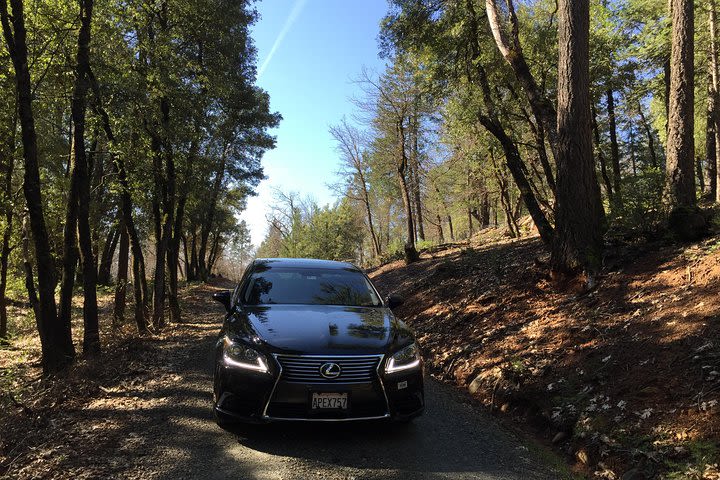 6-Hours Private Lexus Sedan(up to 3 passengers) Napa Valley Wine Country Tour image