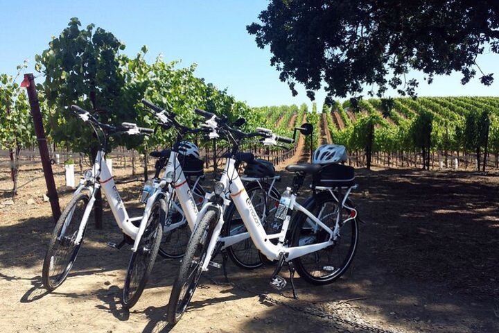 Guided E-Bike Tour of Temecula Wine Country Visit 3 Wineries with Lunch & Snacks image