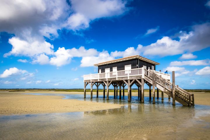 Arcachon Bay Discovery Full Day Trip From Bordeaux (private) image