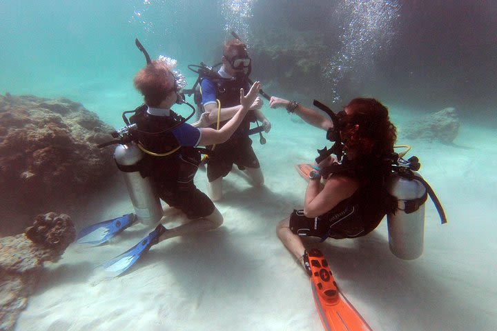 3-Day PADI Open Water Scuba Diving Certification Course in Koh Phi Phi image