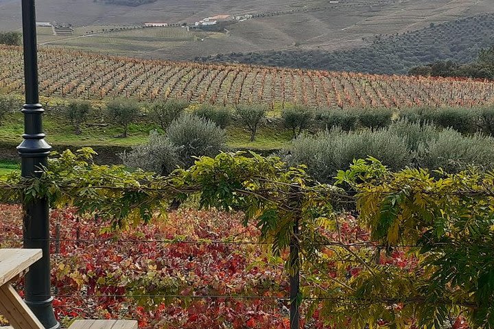 Douro Tour with Low Cost Wine Tasting image