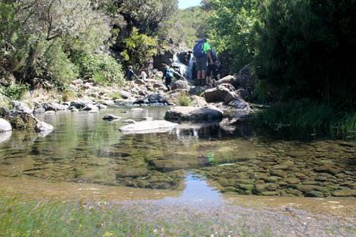 Madeira Lakes - Levada do Alecrim image