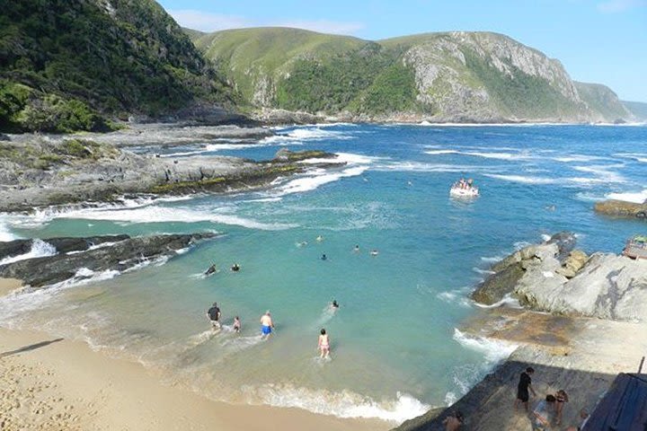 The Garden Route from Port Elizabeth to The Crags - FD07 image