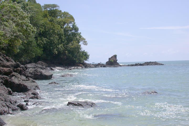 Manuel Antonio National Park Full Day Tour image