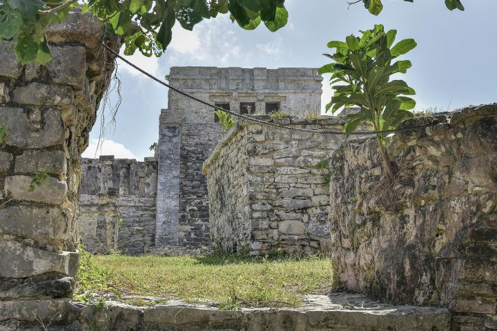 Tulum Ruins, Akumal Turtles & Cenote Adventure image