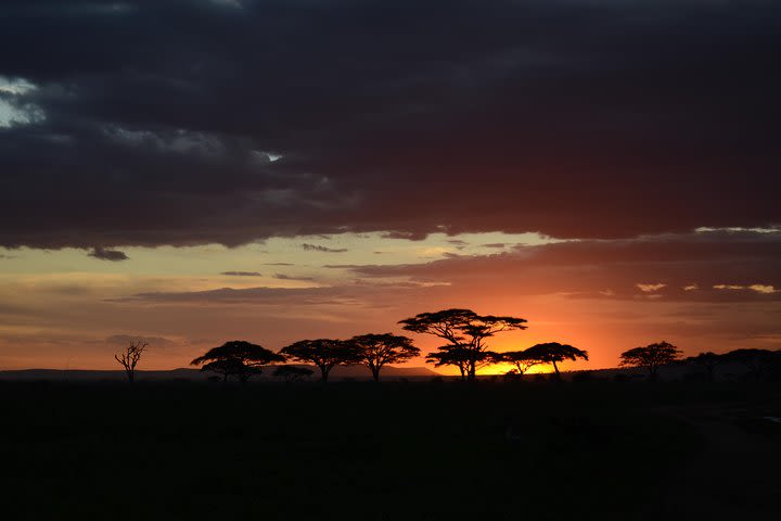 5 days Budget Safari lodge& camping Serengeti, Tarangire And Ngorongoro Crater image