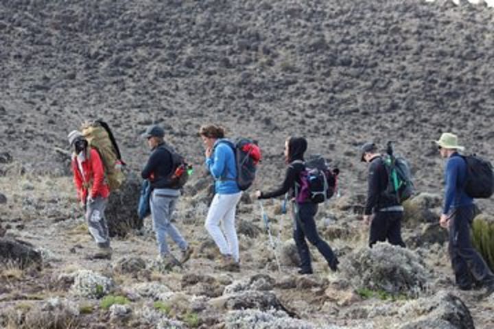 Kilimanjaro Lemosho Route 7 Days image