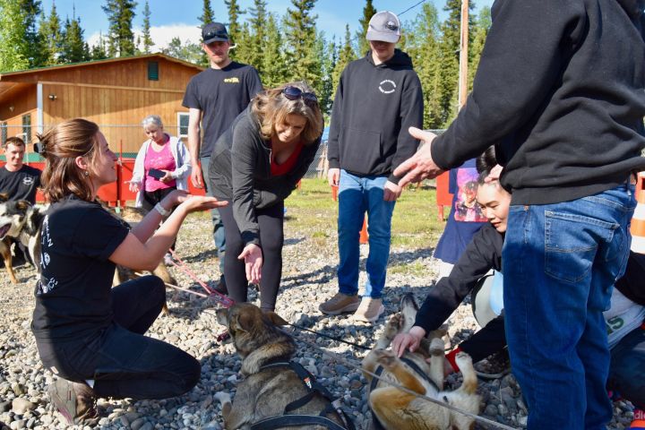 Fairbanks Sled Dog Adventure with Campfire & S'mores image