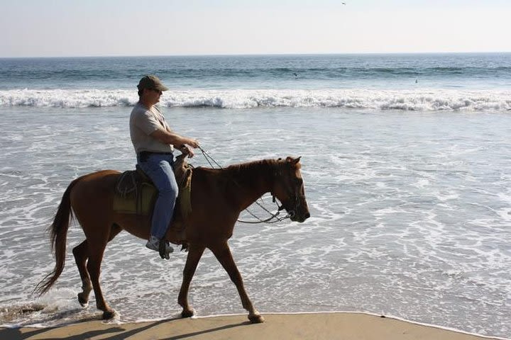 Horse Back Riding With Danitours Montain Rural Areas And Sand Beach image