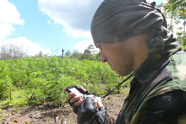 3-Day Amazon Survival Program from Iquitos image