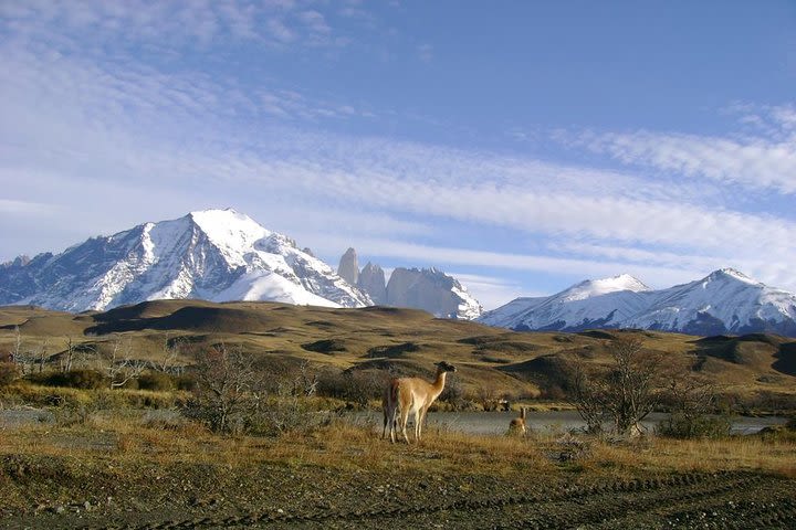 Puerto Natales: Full day tour Torres del Paine image