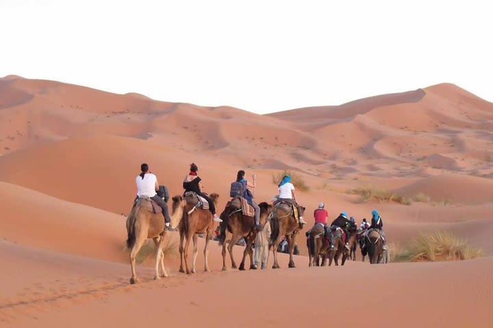 Fes to Marrakech Desert Tours 3 Days image