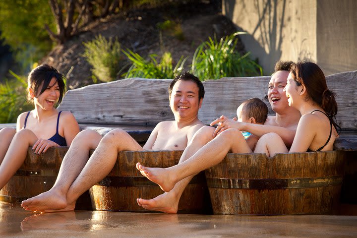 Peninsula Hot Springs Day Trip with Thermal Bathing Entry from Melbourne image