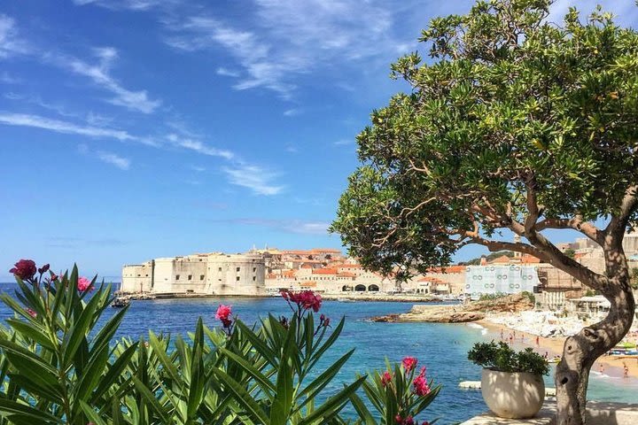 Dubrovnik Islands Walking Break image