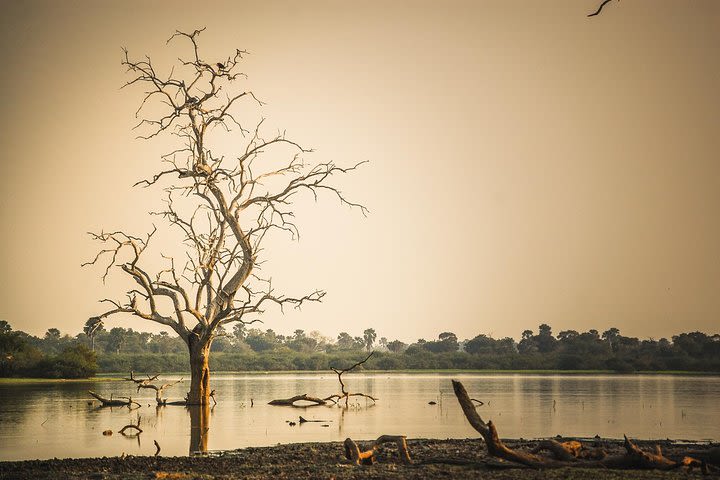 3 Days Safari - Selous Game Reserve image