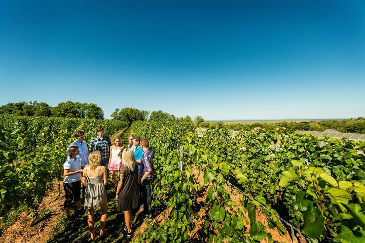 Small-Group Annapolis Valley Wine and Food Tour from Halifax image