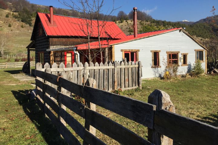 Patagonian Gaucho Experience in Coyhaique image