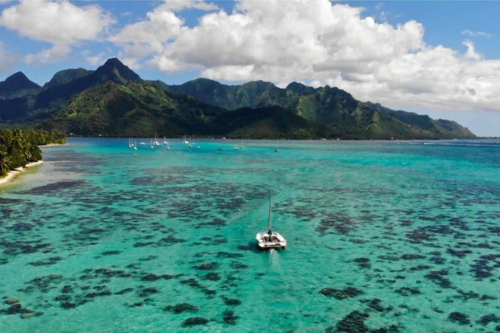 PRIVATE Full Day Tour : Moorea Snorkeling & Sailing on a Catamaran named Taboo image