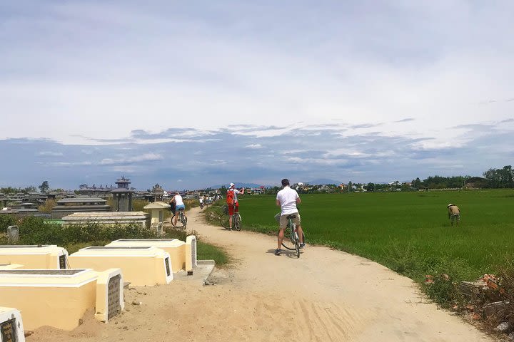 Cycling & Visiting Thanh Dong Organic Farm image