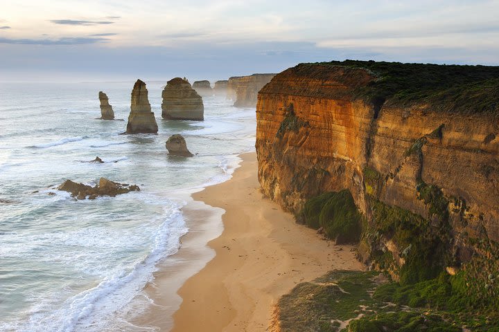 2-Day Great Ocean Road and Grampians Tour from Melbourne image