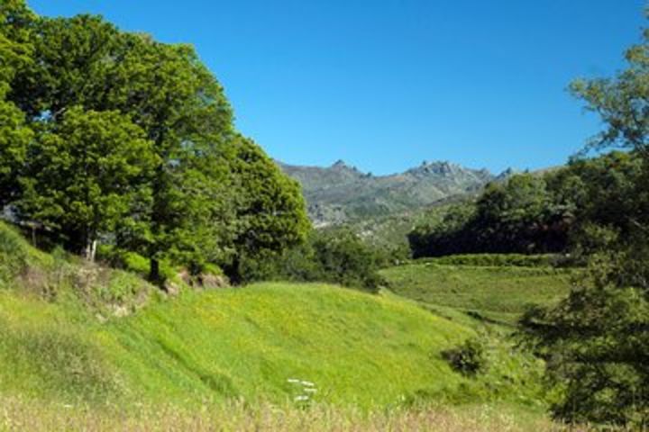 Gerês Tour from Guimarães image