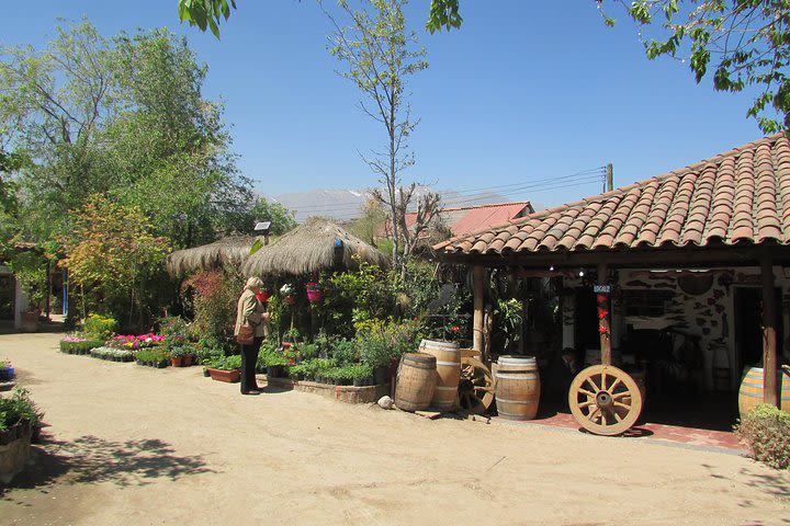 Private Santiago and Neighborhoods Tour: San Cristobal Hill & Artisan Village image