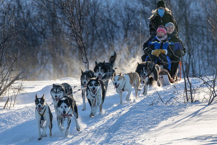 Husky Tours image