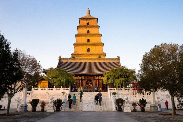 One Day Terracotta Warriors and Big Wild Goose Pagoda Small Group Tour image