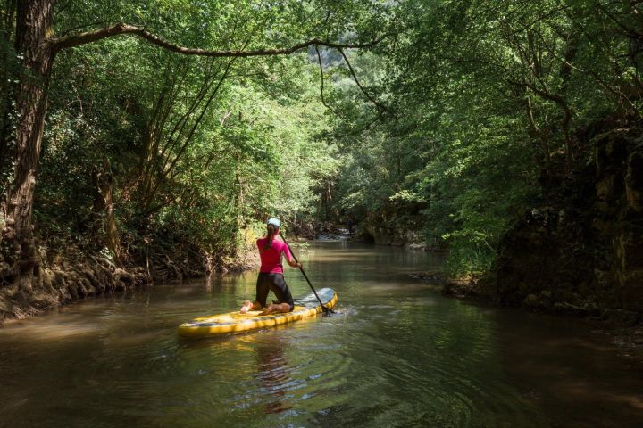 Palomino River Paddle Board Adventure image