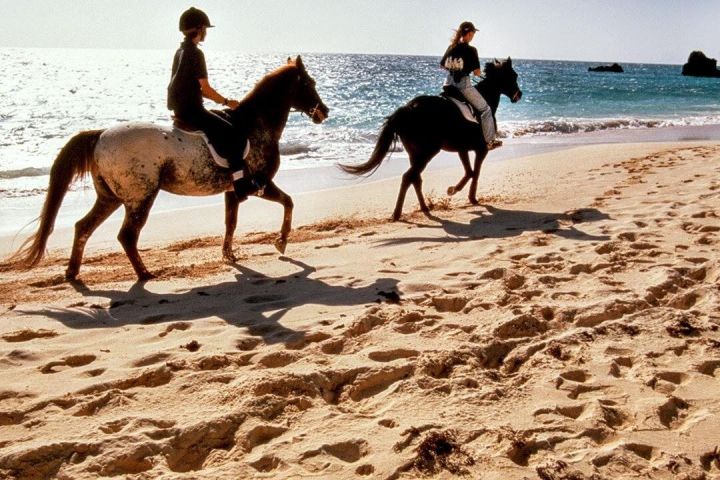 Krabi Horse Riding at Ao Nam Mao Beach image