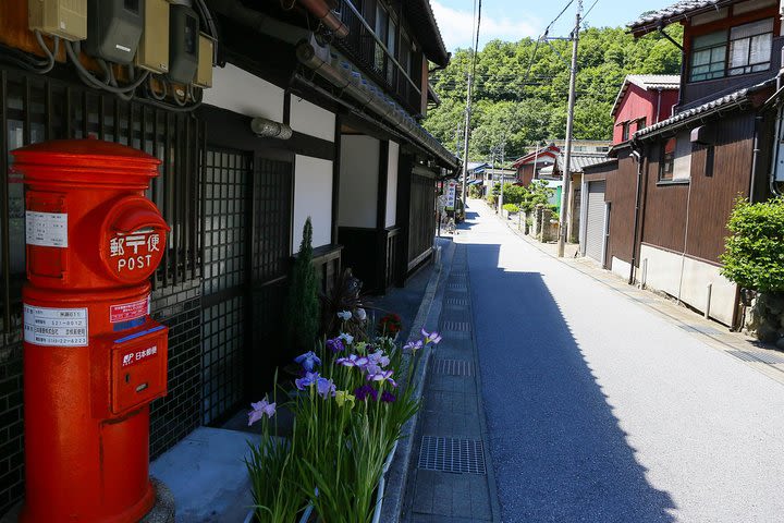 Backroads Exploring Japan’s Rural Life & Nature: Half-Day Bike Tour Near Kyoto image