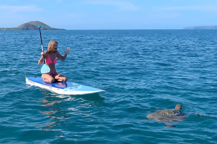 Makena Landing - Private - SUP Turtle Town Snorkel & Lesson image