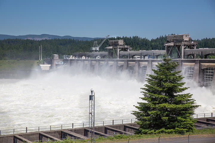 Multnomah Falls and Columbia River Gorge Tour with Gray Line image