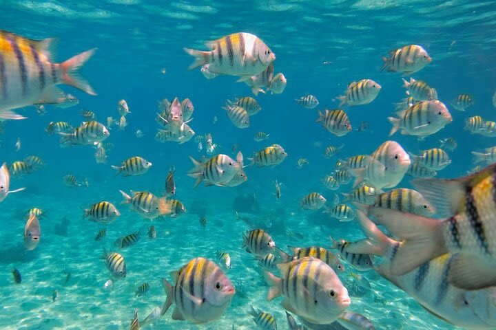 Discovering Isla Mujeres on a Double Decker Catamaran image