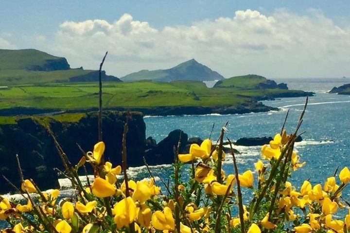 Private Full Day Tour From Killarney - Ring of Kerry/Skellig image