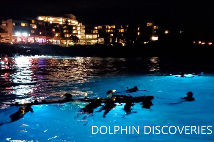 Manta Ray Night Snorkel Adventure image