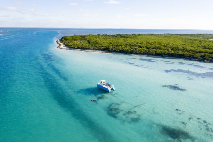 Key West Original Dolphin Watch and Snorkel Eco Tour image
