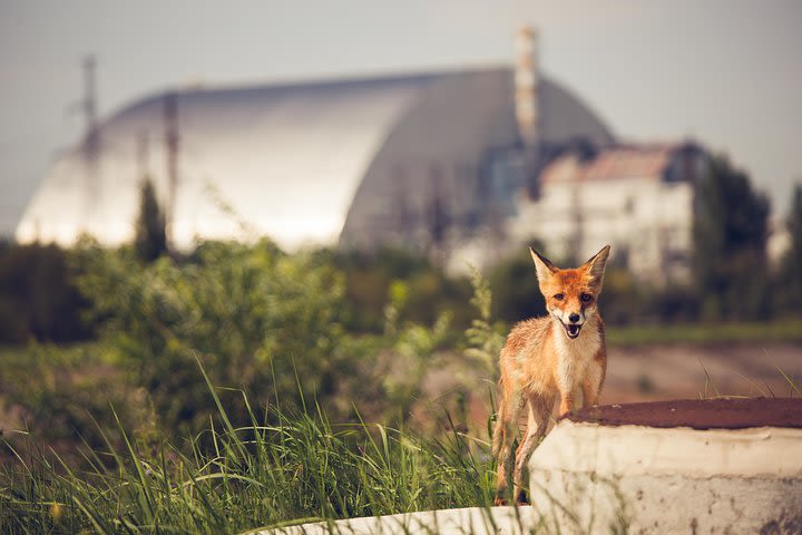 2-days Group Tour To The Chernobyl Exclusion Zone image