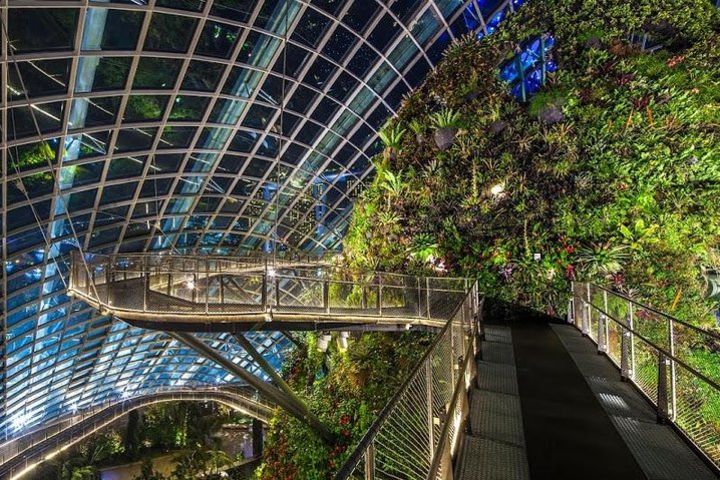 Gardens by the Bay in Singapore with 1-Way Transfer image