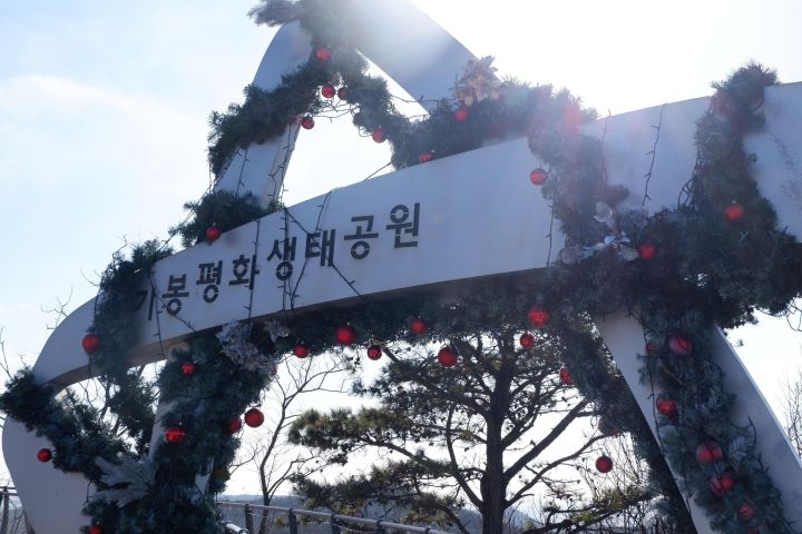 DMZ Observatory & Suspension Bridge Tour image