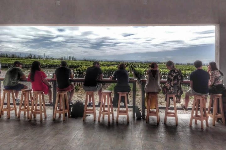 All day, small group, luxury wine tour with gourmet lunch image