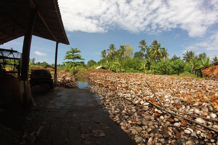 Work With Local Coir Mill image