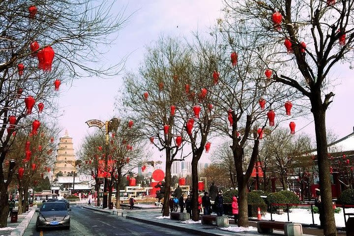 4 Hours Xian Tour of City Wall and Big Wild Goose Pagoda image