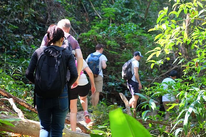 Small Group : Trekking Trip in Chiang Mai (Doi Suthep Area) with Market Tour image