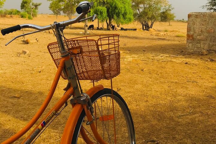 Explore Jaisalmer on a Bicycle Private Tour image