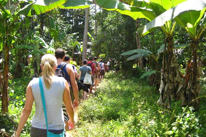 Zanzibar spice tour with lunch image